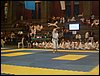 SDC11681.JPG