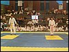 SDC11688.JPG