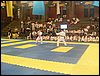 SDC11693.JPG