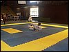 SDC11713.JPG