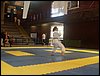 SDC11719.JPG