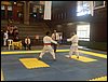 SDC11737.JPG