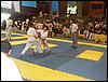SDC11756.JPG