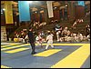 SDC11771.JPG