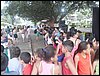 SDC15392.JPG