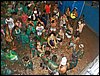 marverde (72).JPG
