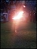 100_1008.JPG