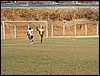 100_5210.JPG