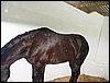 100_5527.JPG