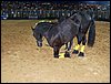 100_5767.JPG
