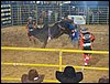 100_5804.JPG
