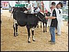 P9060012.JPG
