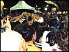 PC120115.JPG