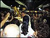 PC120116.JPG