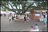 IMG_3880.JPG