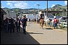 IMG_5144.JPG