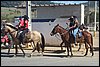 IMG_5329.JPG