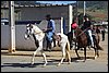IMG_5331.JPG