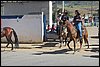 IMG_5333.JPG