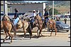 IMG_5335.JPG