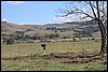 IMG_5597.JPG
