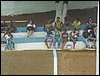 PB160037.JPG