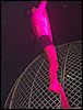 100_0741.JPG