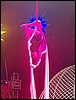 100_0751.JPG