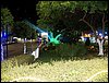 101_0001.JPG