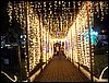 101_0015.JPG