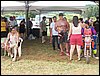 100_1401.JPG