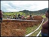 100_1413.JPG