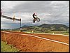 100_1433.JPG