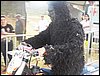 100_1742.JPG