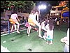 SAM_4231.JPG