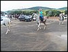 100_0525.JPG