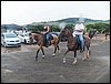 100_0528.JPG