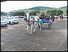 100_0533.JPG