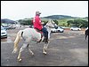 100_0546.JPG