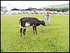 100_0610.JPG