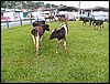 100_0622.JPG