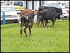 100_0624.JPG