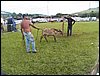 100_0665.JPG