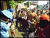 P2150023.JPG