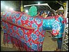 102_0096.JPG