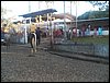 103_0003.JPG