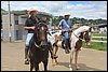 IMG_5696.JPG