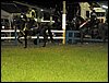 100_0726.JPG