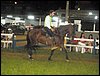 100_0778.JPG