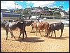 100_0790.JPG